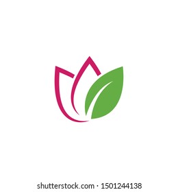 Lotus flowers logo Template Vector 