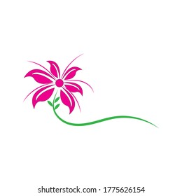 Lotus flowers logo Template Vector 
