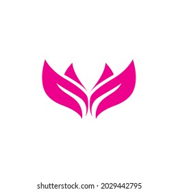 Lotus flowers nature Beauty Vector 