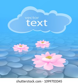 Lotus flowers realistic drawings pink swim in clear water with pebbles stones, banner for text ads 3D vector realistic.