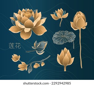 Lotus flowers set for luxury and exclusive use in design. Water lilies in gold and blue colors, isolated lotus elements.The inscription in Chinese hieroglyphs means - Lotus.Vector illustration.