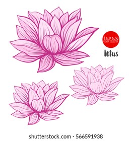 Lotus flowers. Stock line vector illustration botanic flowers. 