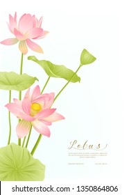 Lotus flowers.  Template for wedding invitation, greeting card, banner, gift voucher with place for text. Colored vector illustration.