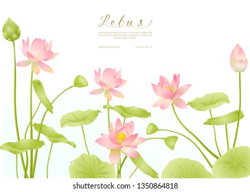 Flores Lotus.  Plantilla para invitación de boda, tarjeta de saludo, banner, vale de regalo con lugar para texto. Ilustración vectorial coloreada.