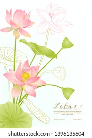 Lotus flowers.  Template for wedding invitation, greeting card, banner, gift voucher with place for text. Colored and outline design. Vector illustration.