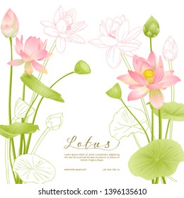 Lotus flowers.  Template for wedding invitation, greeting card, banner, gift voucher with place for text. Colored and outline design. Vector illustration.