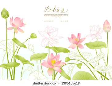  Flores Lotus.  Plantilla para invitación de boda, tarjeta de saludo, banner, vale de regalo con lugar para texto. Diseño en color y esquema. Ilustración vectorial.