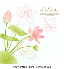 Lotus flowers.  Template for wedding invitation, greeting card, banner, gift voucher with place for text. Colored and outline design. Vector illustration.