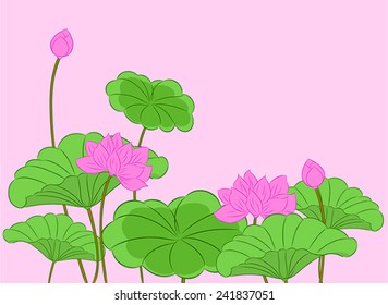 Lotus Flowers Vector Illustration