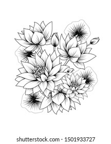 Fleur De Lotus Dessin Images Stock Photos Vectors