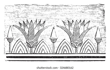 Lotus flowers, vintage engraved illustration. Industrial encyclopedia E.-O. Lami - 1875.
