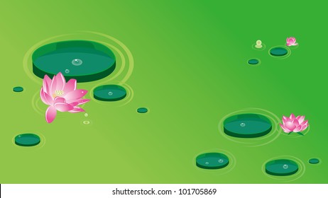 Lotus flowers-waterlily