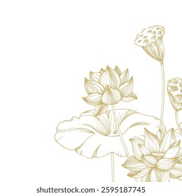 Lotus gold flowers, seed pod and leaves frame. Vector illustration hand drawn and isolated on white background. Template for label and logo design