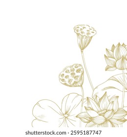 Lotus gold flowers, seed pod and leaves frame. Vector illustration hand drawn and isolated on white background. Template for label and logo design