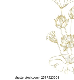 Lotus gold flowers, seed pod and leaves frame. Vector illustration hand drawn and isolated on white background. Template for label and logo design