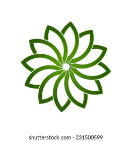 Lotus green plant