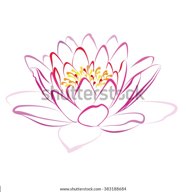 Lotus Hand Drawn Vector Illustration On Stock Vector (Royalty Free ...