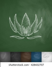 lotus icon. Hand drawn vector illustration