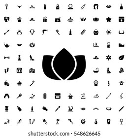 lotus icon illustration isolated vector