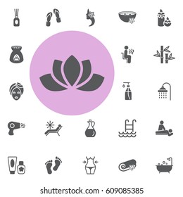 lotus icon. spa set vector illustration on white background