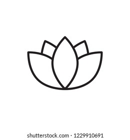 lotus icon vector design