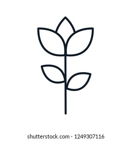 Lotus icon vector style logo ,floral icon logo template