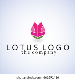 lotus ideas design vector illustration on background
