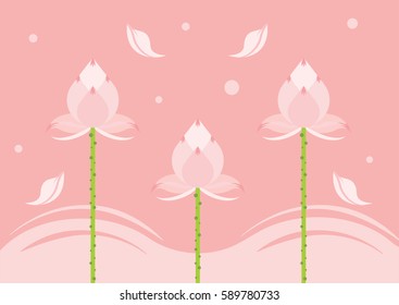 lotus illustration