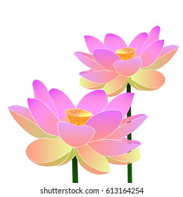 Lotus illustration, Calmly , Buddhist