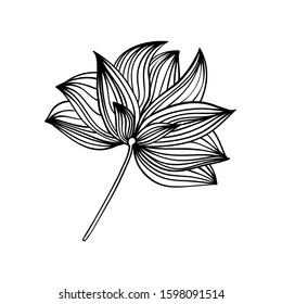 Lotus illustration. Decorative floral design element for cards, poster, scrapbook, stickers. Coloring book page.