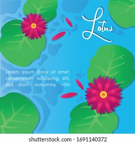 Lotus Illustration Vector Design Background