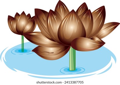 Lotus isolated on white background