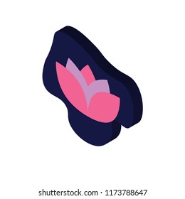 Lotus isometric left top view 3D icon