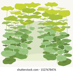 Lotus leaf jungle. Rainforest. flat design style minimal vector illustration.