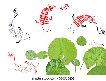 Lotus leaf and Koi fish vector illustrator