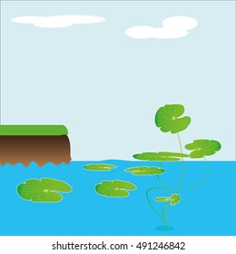 Lotus leaf in a large pond