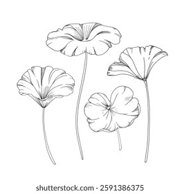 Lotus leaves set of vector illustration hand drawn with ink and isolated on white background. Objects for label and logo design