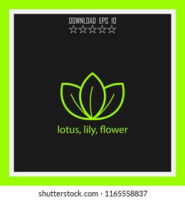 lotus, lily, flower vector icon