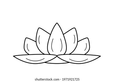Lotus lily flower. Vector illustration of a lotus outline isolated on white