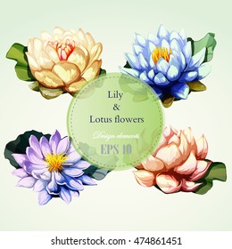 Lotus and lily flowers with leaves. Set of design elements. Can be used in design, appearance, cards, wreath and etc. Hand drawn. All elements are separated and easy to move. Vector - stock.