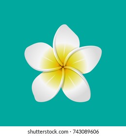 Lotus, Lily Vector Illustration Water Flower Logo