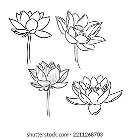 A lotus lily water flower in a vintage woodcut engraved etching style