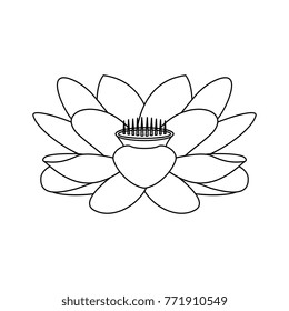 lotus line art 