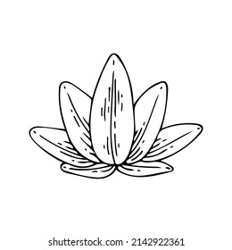 Lotus line art. Ancient Padma. Sacred lotus flower. Hindu sign. Mysterious symbol of Buddhism. Purity and spiritual perfection. Hand drawn vector illustration. Magic talisman.