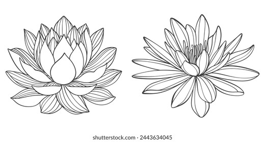 lotus line art vector illustration, vesak day element design