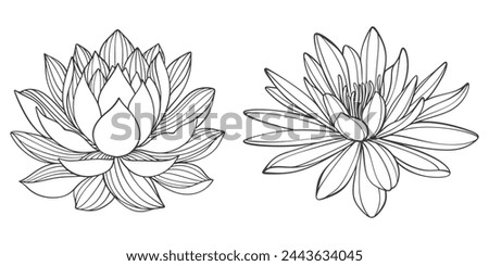 lotus line art vector illustration, vesak day element design