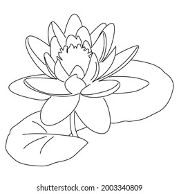 Lotus Line Drawing Clip Art 