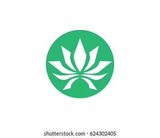 Lotus Logo