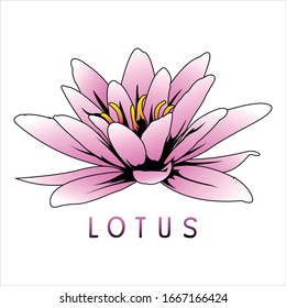 Lotus logo design vector eps