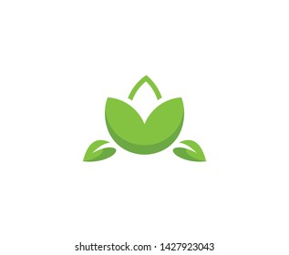 Lotus logo flower leaf vector 